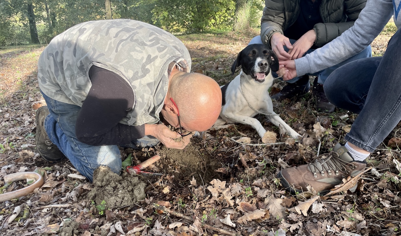 Truffeljager als inspiratiebron - Mijn Italiaanse Tante - Teambuilding